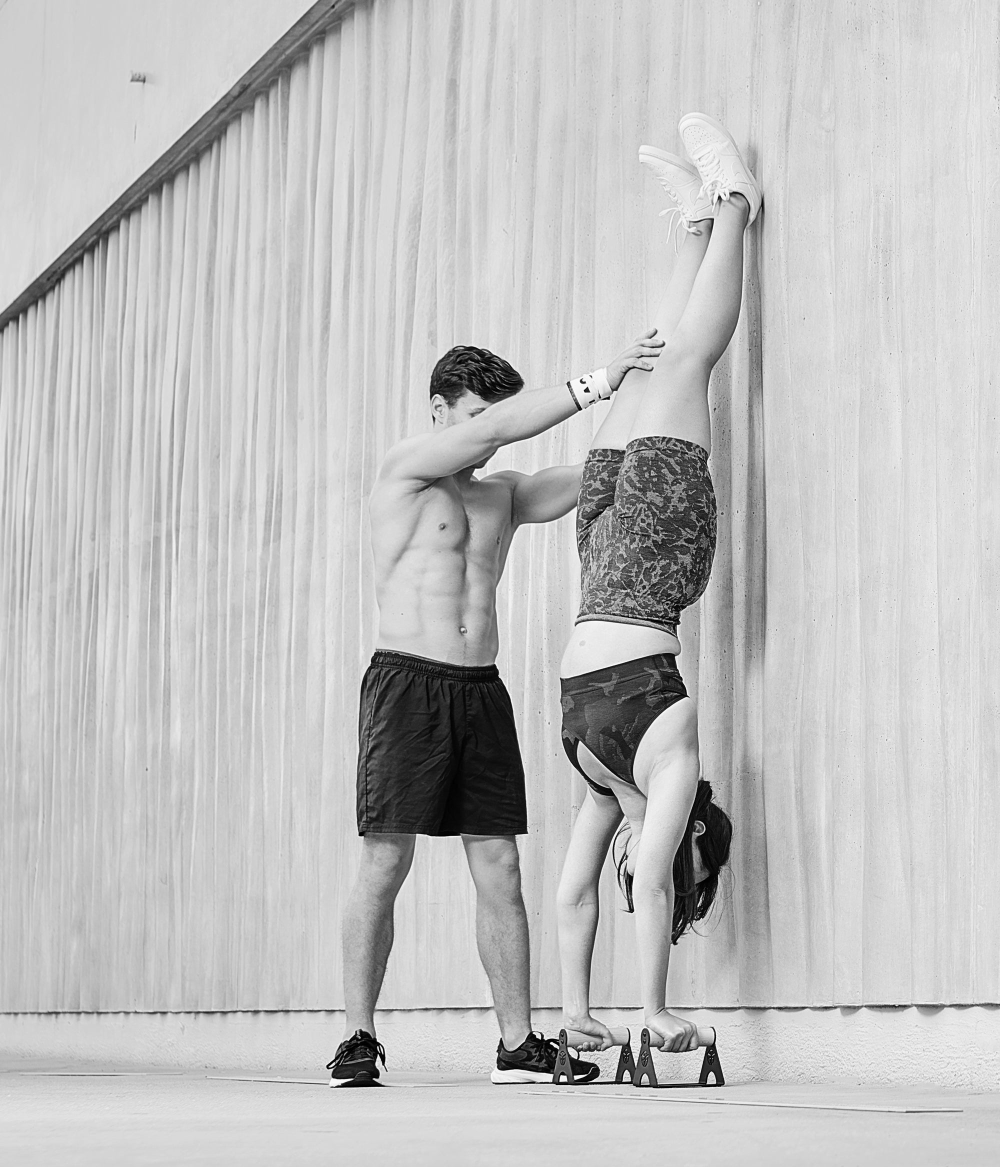 Maniglie della pompa