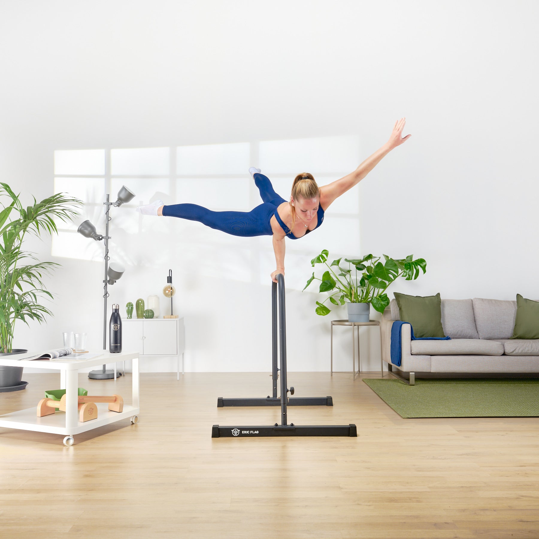 calisthenics bars