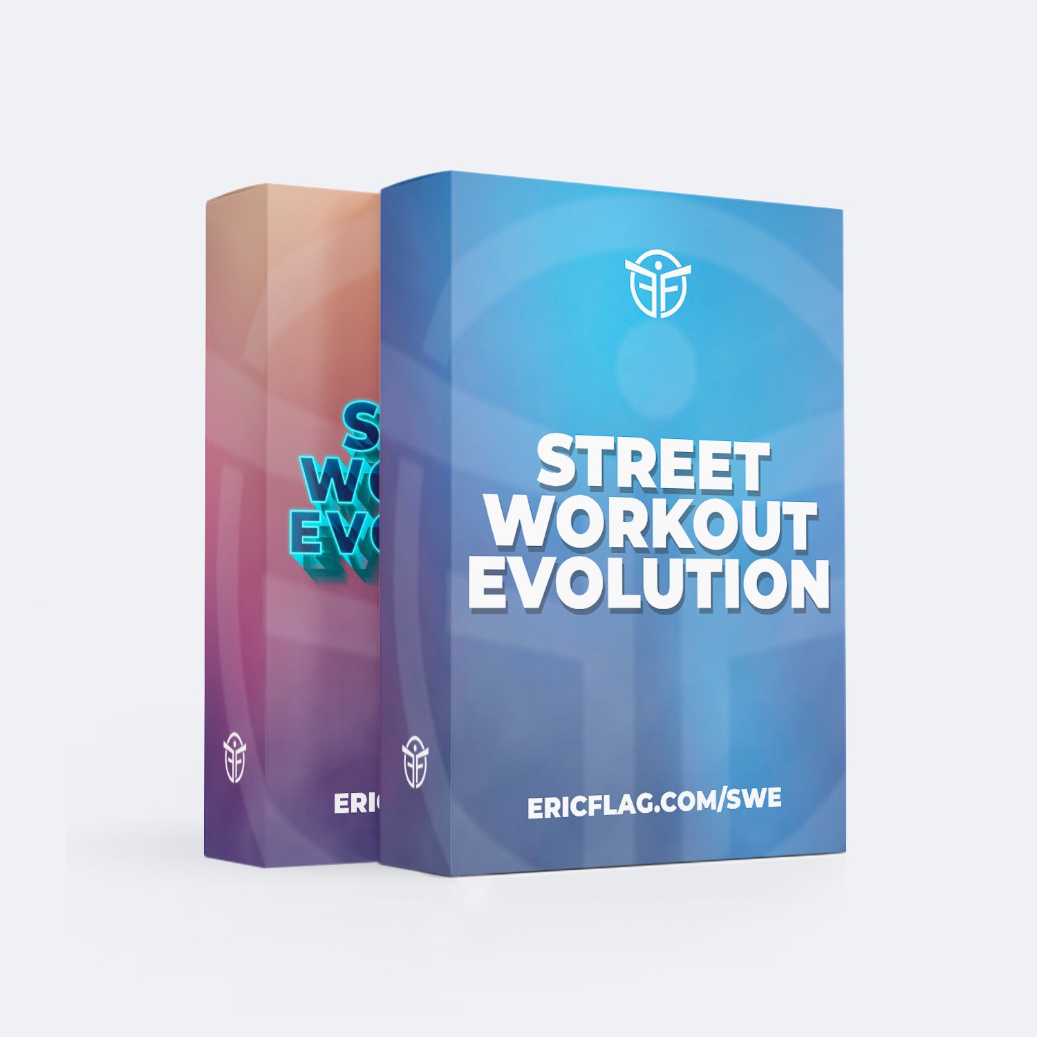 Programmpaket Street Workout Evolution 1 + 2