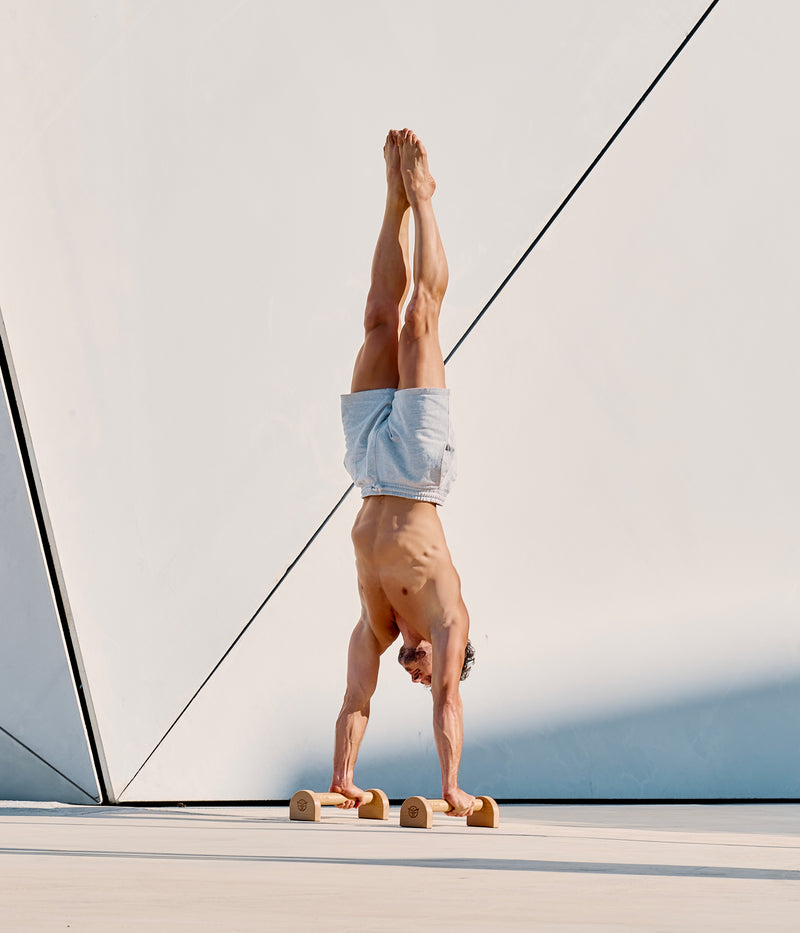 The Best Parallel Bar Exercises - Eric Flag